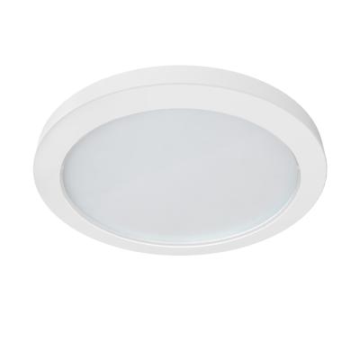 China Modern led downlight Australian standard9 inch surface mounted round 18.5w 2700K-6000K led ceiling light for sale