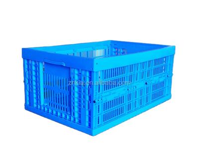 China Feature And Mesh Style Yes Viable Foldable Plastic Crates 60x40x28cm for sale