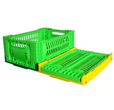 China 30*20*12cm size plastic crate storage mini collapsible folding basket for sale