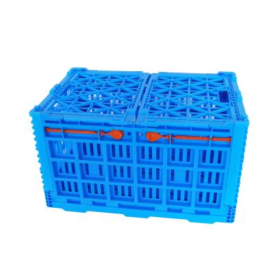 China Folding PP Plastic Material 21