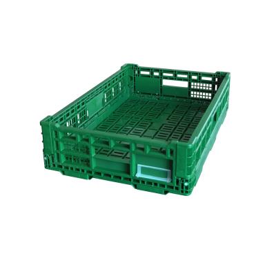 China PROMOTION folding price 600x400x140 mm high quality fruit use plastic material crate folding box for sale