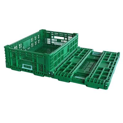 China Purple Mesh Milk Crate Vegetable Crate For Vegetable Packing Fruit Basket Collapsible Crates For Mushroom Vegetable Plankton Basket for sale