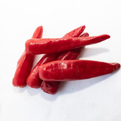 China High Quality FROZEN Food Steaming Red Chilli Pepper FD Frozen Dry Pepper With Good Quality for sale