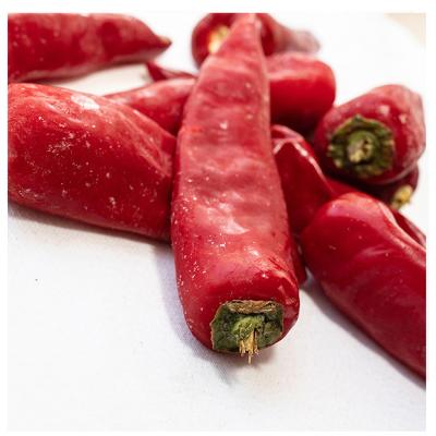 China Low MOQ Beijing Chili Pepper New Crop Frozen red heavenly chili from FROZEN frozen red chili peppers for sale