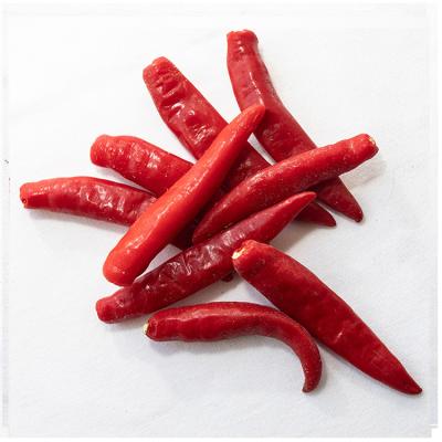 China New FROZEN Cultured Red Chilli Pepper 100% Frozen Vegetable Frozen Natural Chilli for sale