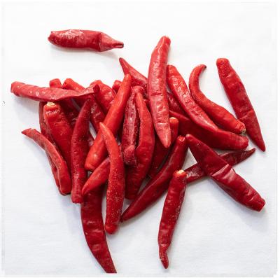 China Hot Selling Frozen Chili Peppers Low MOQ Frozen Directly Fresh Red Chili for sale