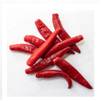 China FROZEN cheap prices and best selling low MOQ 100% natural hot red chili pepper wholesale frozen red chili peppers for sale