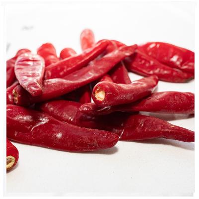 China FROZEN Factory Selling Bulk FD Fresh Frozen Dry Frozen Chilli Red Frozen Pepper for sale