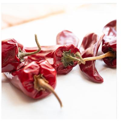 China Good price high quality natural dry hot dry red chilli pepper red chilli pepper for sale