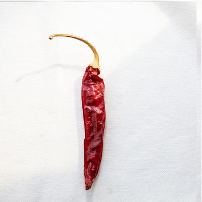 China Chili Peppers Whole Sweet Red Red Dry High Quality Dry Chili Pepper With Per Ton Price for sale