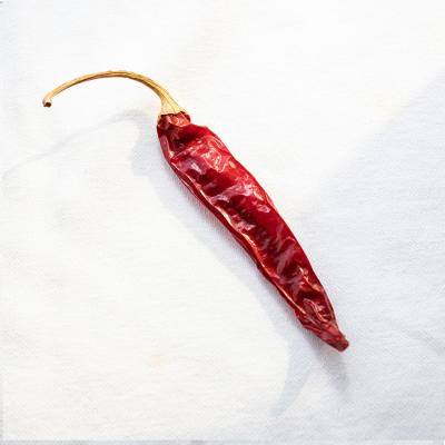 China Export Dry Dried Chili Crushed Factory Supply Dry Red Pepper With Wholesale Price for sale