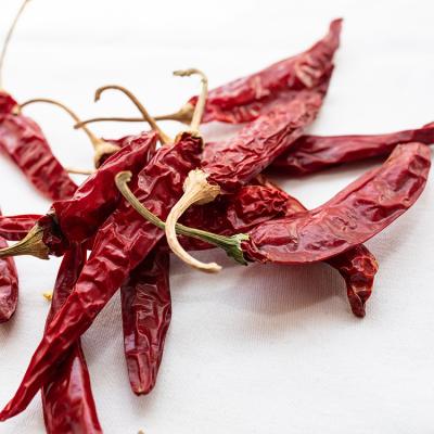 China Chili Pepper Exporter Dried Red Pure Red Hot Chili Peppers With Wholesale Price for sale