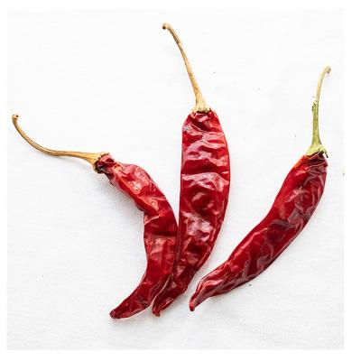 China Chinese Supply High Quality Dry Pepper Export Factory Organic Dry Red Chilli for sale