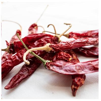 China Good Prices Dry Spicy Red Chili Peppers High Quality Dry Red Chili Peppers Top Selling Food for sale