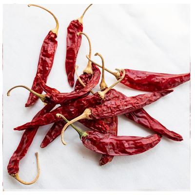 China Chili Pepper Exporter Super Spicy Pure Red Air Dried Sweet Dried Red Chilies for sale