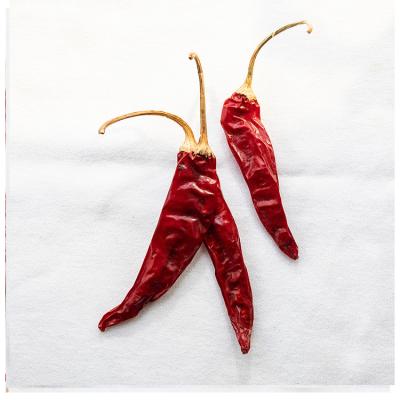 China Top Selling Food Dry Chili Super Spicy Seasoning Natural Red Organic Dried Red Chilli for sale