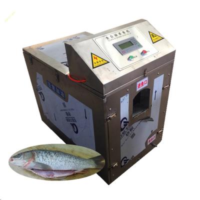 China 0.4-4kg New Arrival Fish Scaler Machine Fish Cleaning Killing And Measuring Machine for sale