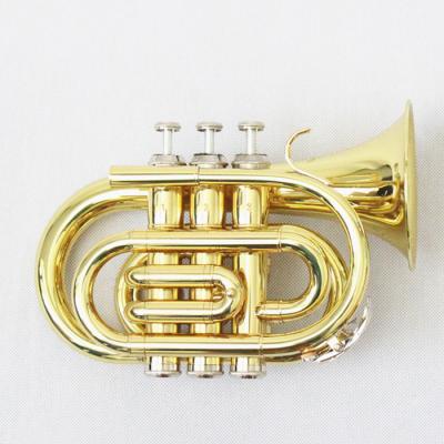 China Gold Lacquer Cheap Pocket Professional High Quality Colorful Trumpet (FPT-100L) for sale