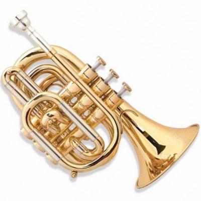 China Gold lacquer FPT-300L quality assured brass instrument cheap pocket trumpet for sale for sale