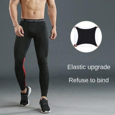 China Breathable Quick Dry Bottom Pants Newest Original Factory Breathable Tight Fitness Sports Solid Color Compression Legging For Men for sale