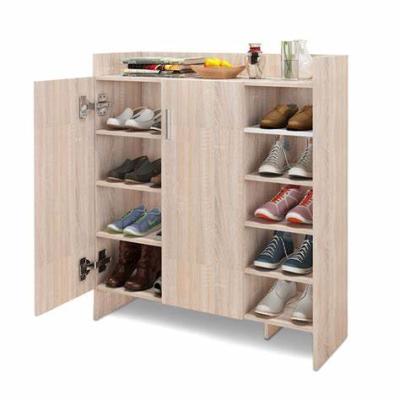 China Contemporary Space Saving Decorations Shelves Modern Fashionable Living Room Furniture Shoe Rack for sale