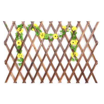 China Easily Assembled 2021 Plant Climbing Frame Made Of Black Bamboo Elegant Retractable Bamboo Pole Garden Fence for sale