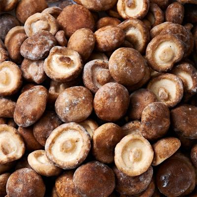 China Healthy Food factory direct export of frozen shiitake mushroom wholesale frozen  shiitake mushroom for sale