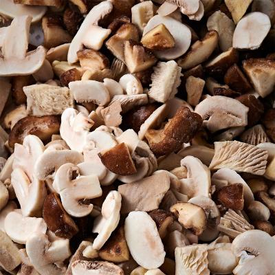 China Healthy Food factory direct export of frozen mixed mushroom oyster mushroom shiitake mushroom and agaricus bisporus for sale