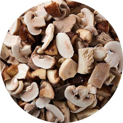 China Healthy Food Wanda Foods factory direct export of frozen mixed mushroom oyster mushroom shiitake mushroom and agaricus bisporus for sale