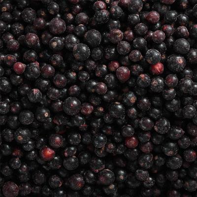 China Healthy Food factory direct export frozen black currant wholesale frozen black currants for sale