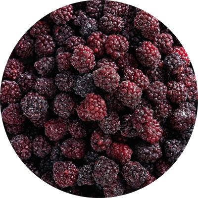 China Healthy Food Wanda Foods factory direct sales frozen blackberry wholesale and export of new season frozen blackberry for sale