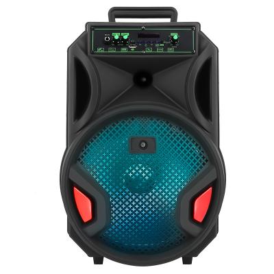 China No PRO Portable Karaoke 2021 Wireless Speaker Subwoofer Stereo Audio DJ LED Party Wireless Speaker With Flame Light for sale