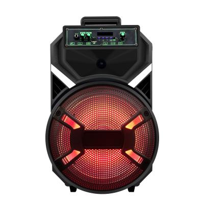 China No Karaoke KTV Speakers, Active BT Speaker Karaoke Subwoofer Speaker with Microphone Speaker for AUX, FM, USB for sale