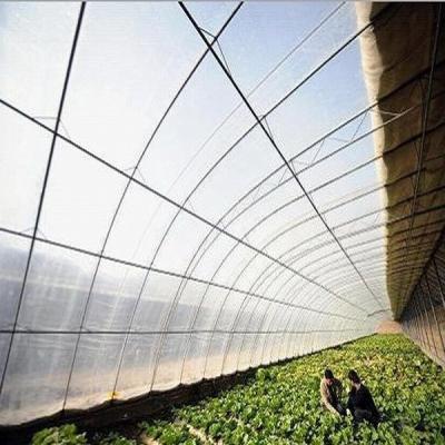 China ETFE film,ETFE Agriculture film ,ETFE greenhouse film for sale