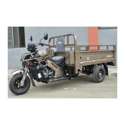 China Maximum Speed 50-70Km/h Displacement 250cc Morocco Commercial Adulte 3 Wheel Cargo Gasoline Tricycle for sale