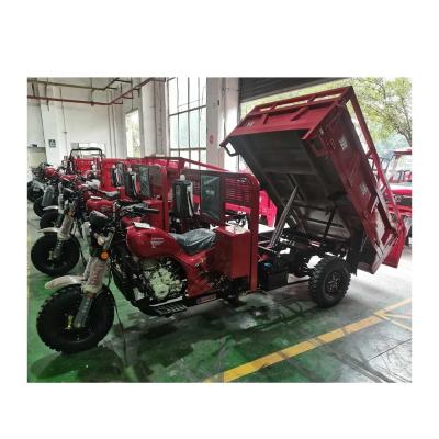 China 250cc Cargo Motor Tricycle / Adult 3-Wheel Dumper Motorized Motorcycle Gasoline Tricycle for sale