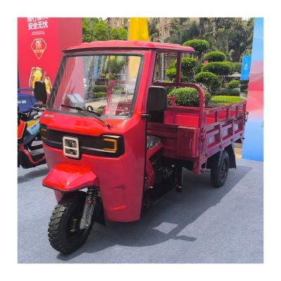 China Three-wheel Motor Cargo Tricycle for Adults in Ghana Enclosed Tanzania Motorized Tricycles for sale