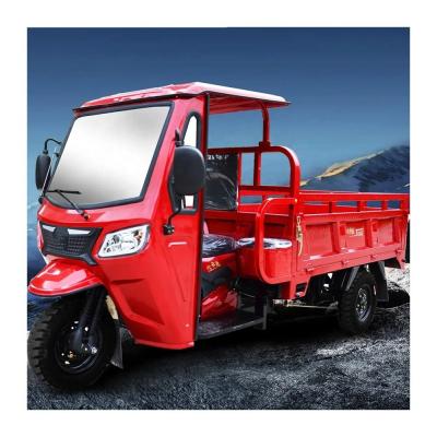 China Motorized 3 Wheel Cargo Tricycle for Adults 1000W Gasoline Engine Tricycle Motorcycle en venta