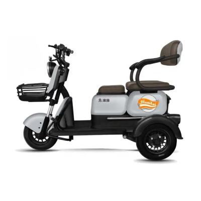 China Malasia Adultos 3 ruedas Bicicleta motorizada Motocicleta Taxi Mopa Auto Etrike Trike eléctrico en venta