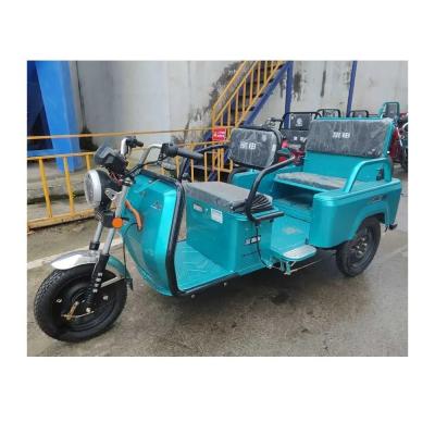 China 3 ruedas 1000W neumático de grasa Trike Mini motocicletas eléctricas Triciclo para sus necesidades en venta