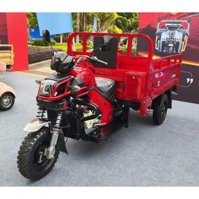 China 1 Passenger Motorized Cargo Tricycle Perfect for Cargo and Passenger Transportation for sale