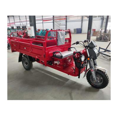 China 1000W Electric Tricycle with Integrated Gear Shifting and 220 Drum Braking System Ideal for sale