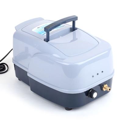 China Resun ACD-130 Sustainable Dual Function Compressor With AC And DC Stable Working Auto Air Frequency Pump for sale