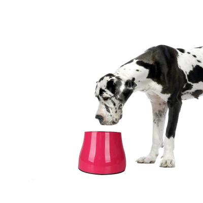 China Large Silicone 1000ml Dog Bowl Outdoor Travel Puppy Food Container Portable Collapsible Dish Viable Collapsible Bowl for sale