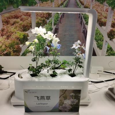 China HOT Wholesale Smart Home Planter Easily Assembled Mini Indoor Planting Flower Desktop Amazon Desk Lamp Small LED Grow Light Box for sale