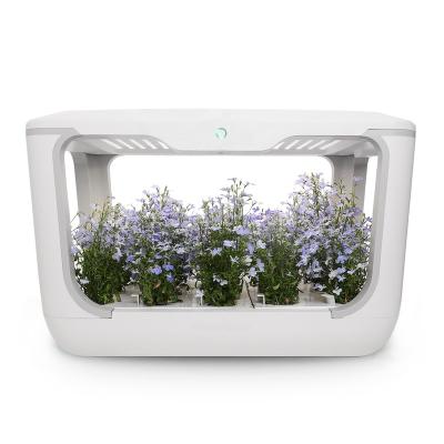 China Portable 15 Pods Herb Garden Starter Kit Smart Greenhouse ECO-FRIENDLY Indoor Germination Kit for sale