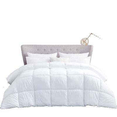 China Modern Custom Design Wholesales All Season Polyester Microfiber Comforter for sale