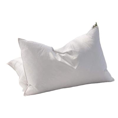 China Custom High Quality Soft White 50x70Cm Anti Dust Mite Cotton Filling Feather Down Pillows for sale