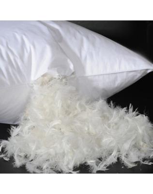 China Cheap Wholesale Hotel Price 50x70Cm White Soft Cotton Anti Dust Mites Luxury Filled Pure Pillows for sale