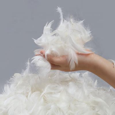 China quilt & Novel Pillow Washed 2-4CM White Goose Feather Duck Raw Material for sale